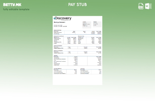 Модерен стил USA Discovery Inc. Шаблон за плати за никулци за забавна компанија